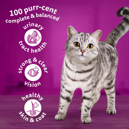 Whiskas 1+ Salmon Adult Dry Cat Food (1.9kg × 4)